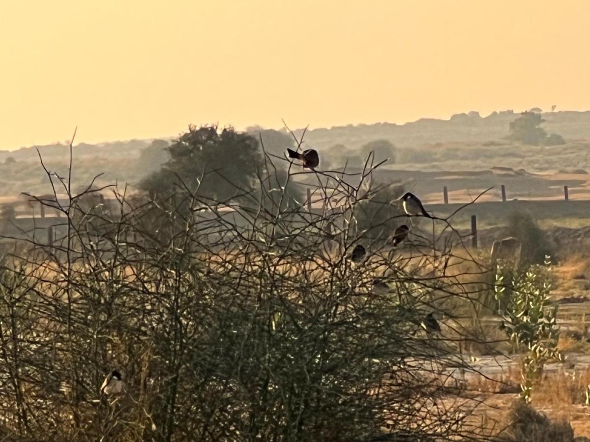 Golden Villa Jaisalmer Dış mekan fotoğraf